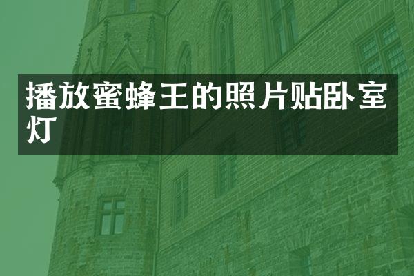 播放蜜蜂王的照片贴卧室灯