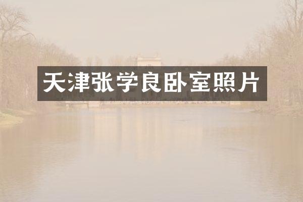 天津张学良卧室照片