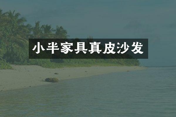 小半家具真皮沙发