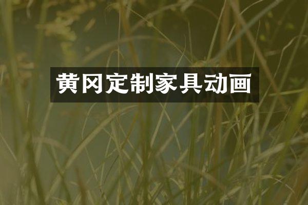 黄冈定制家具动画