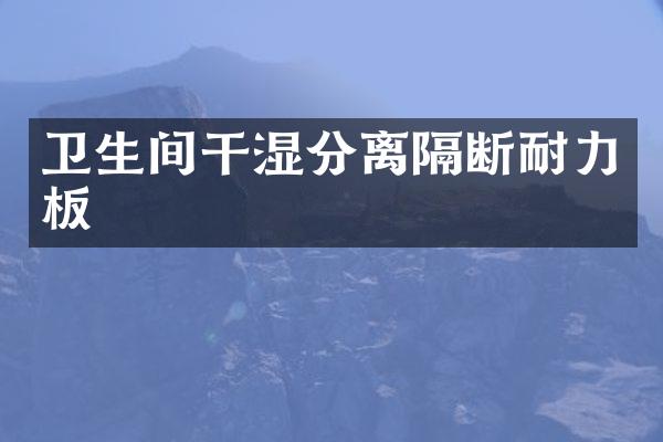 卫生间干湿分离隔断耐力板