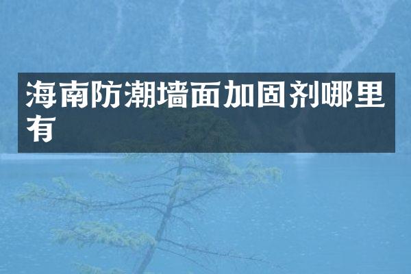 海南防潮墙面加固剂哪里有