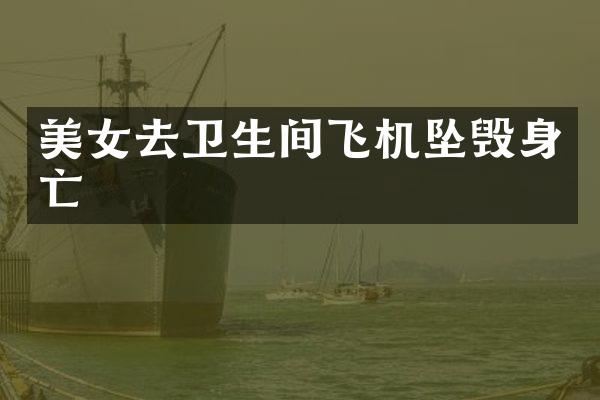 美女去卫生间飞机坠毁身亡