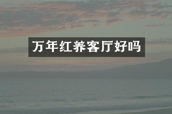 万年红养客厅好吗