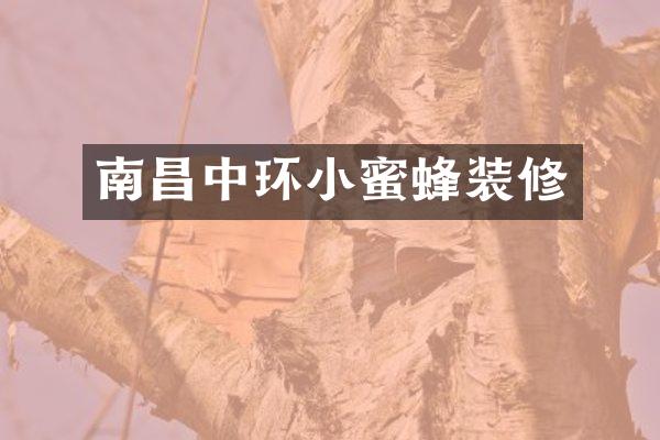 南昌中环小蜜蜂装修