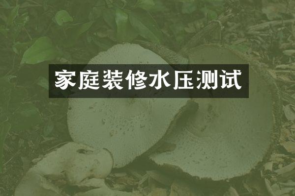 家庭装修水压测试