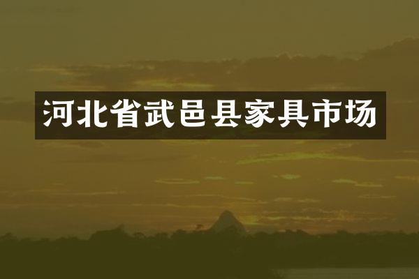 河北省武邑县家具市场