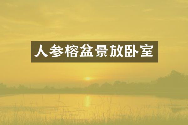 人参榕盆景放卧室