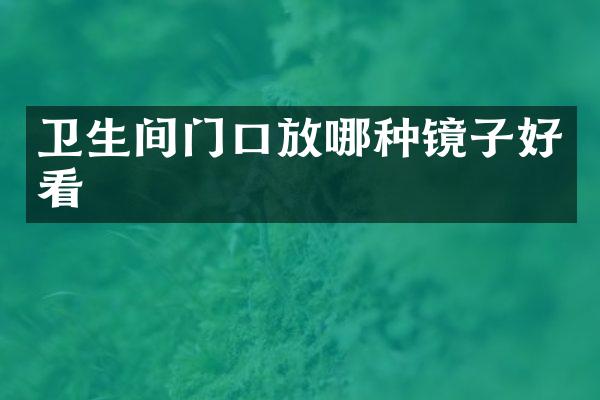 卫生间门口放哪种镜子好看