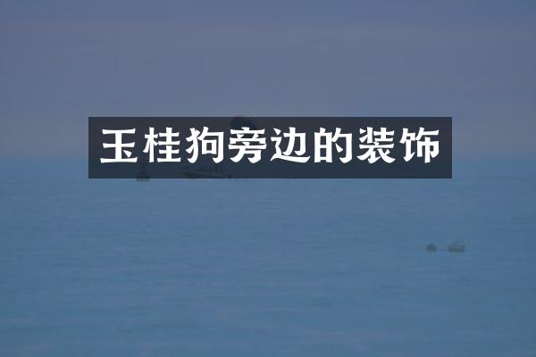 玉桂狗旁边的装饰