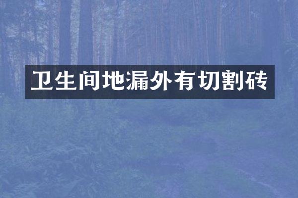 卫生间地漏外有切割砖