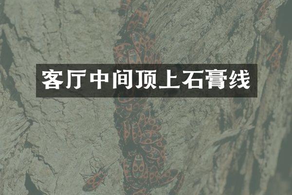 客厅中间顶上石膏线