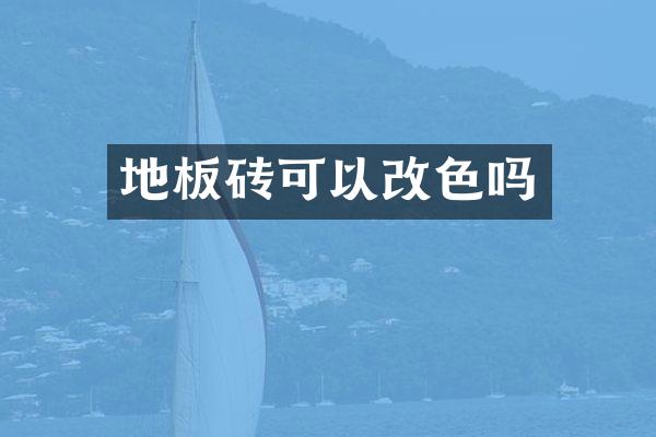 地板砖可以改色吗