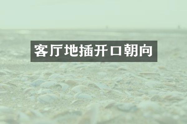 客厅地插开口朝向