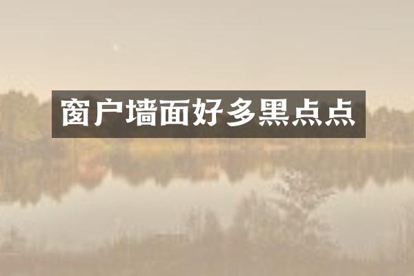 窗户墙面好多黑点点