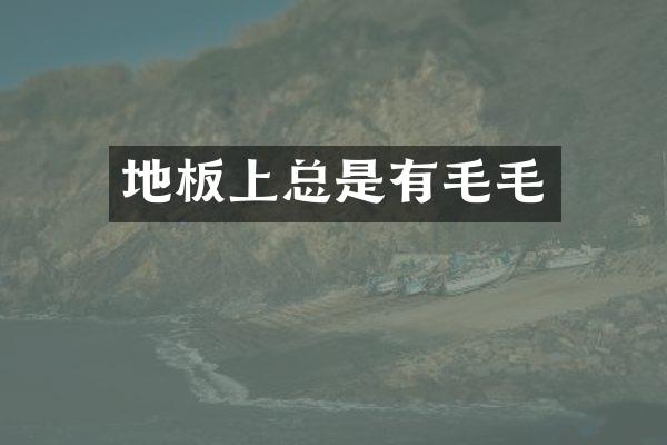地板上总是有毛毛