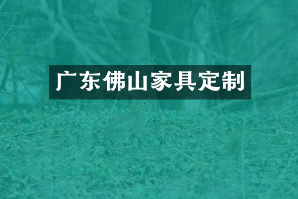 广东佛山家具定制