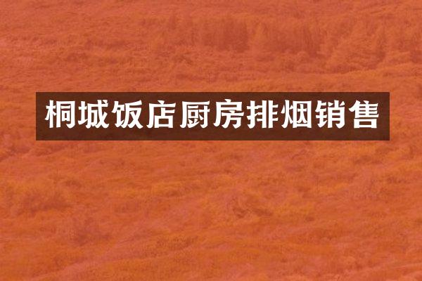 桐城饭店厨房排烟销售