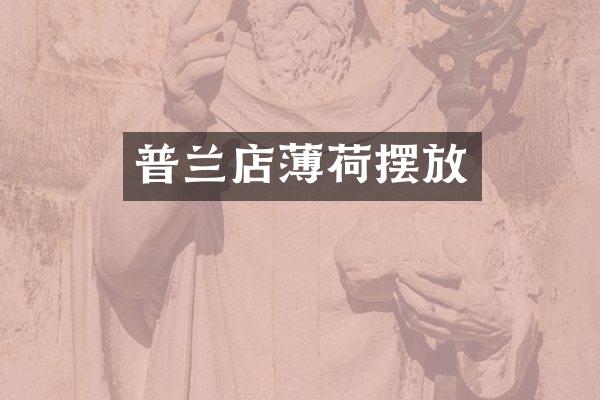 普兰店薄荷摆放