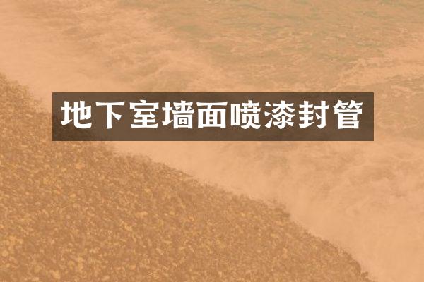地下室墙面喷漆封管