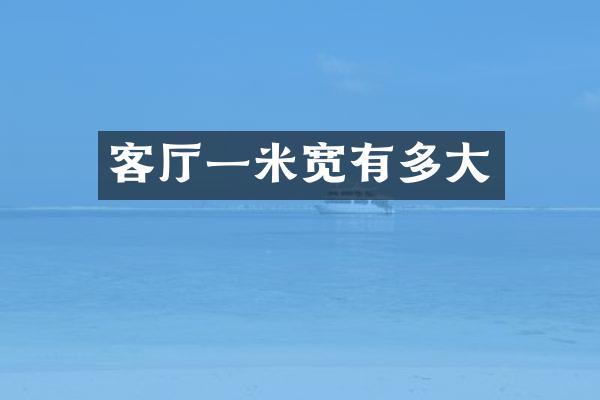 客厅一米宽有多大
