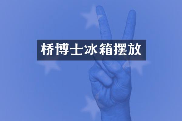 桥博士冰箱摆放