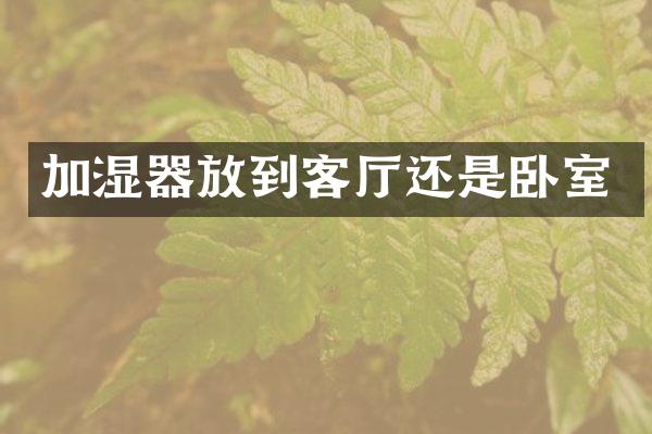 加湿器放到客厅还是卧室