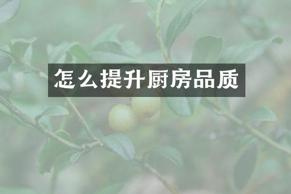怎么提升厨房品质