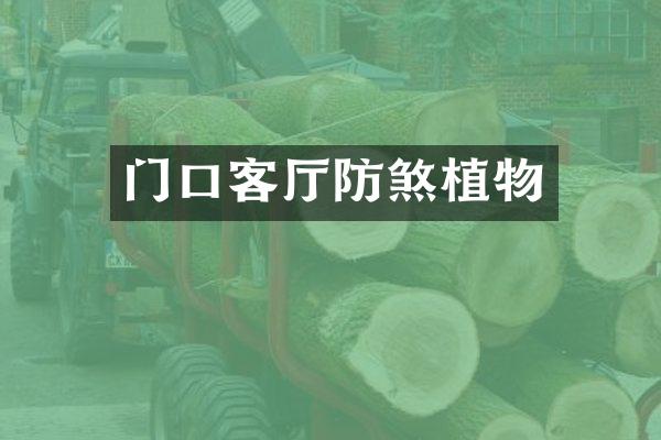 门口客厅防煞植物