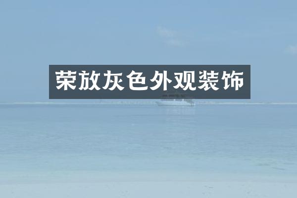 荣放灰色外观装饰