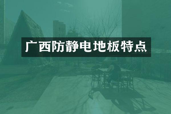 广西防静电地板特点