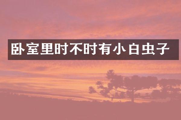 卧室里时不时有小白虫子