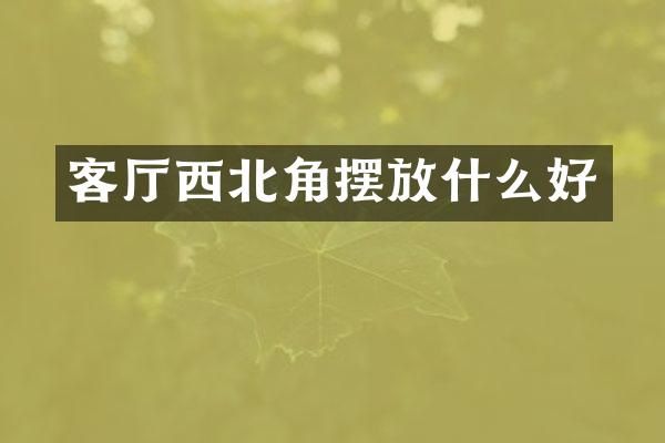 客厅西北角摆放什么好