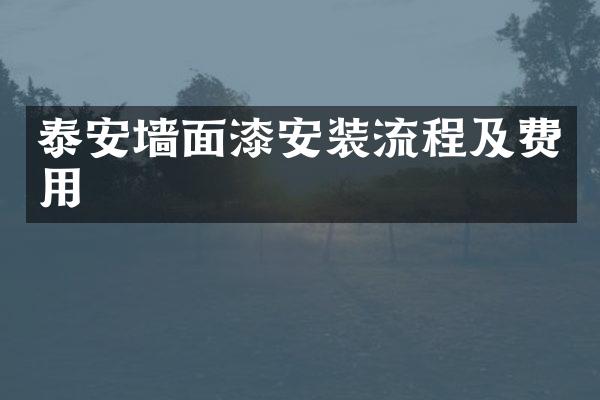 泰安墙面漆安装流程及费用