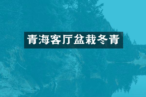 青海客厅盆栽冬青