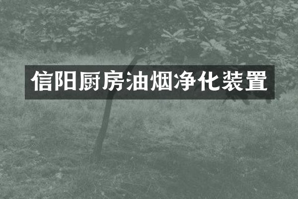 信阳厨房油烟净化装置