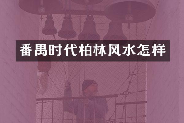 番禺时代柏林风水怎样