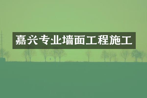 嘉兴专业墙面工程施工