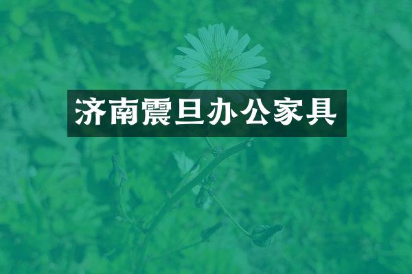 济南震旦办公家具