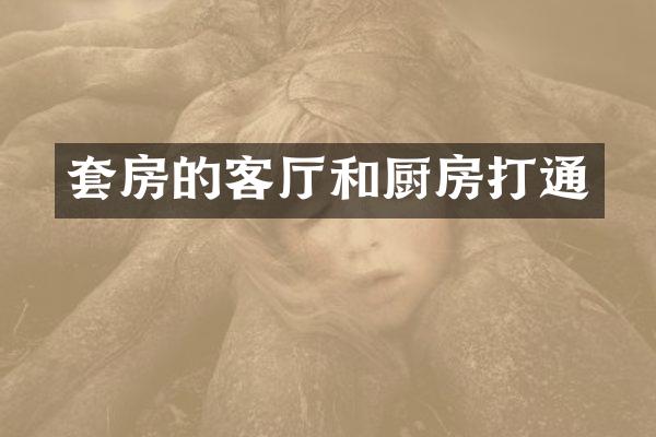 套房的客厅和厨房打通