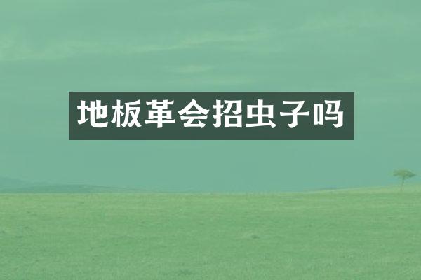 地板革会招虫子吗