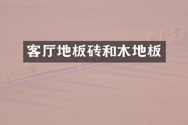 客厅地板砖和木地板