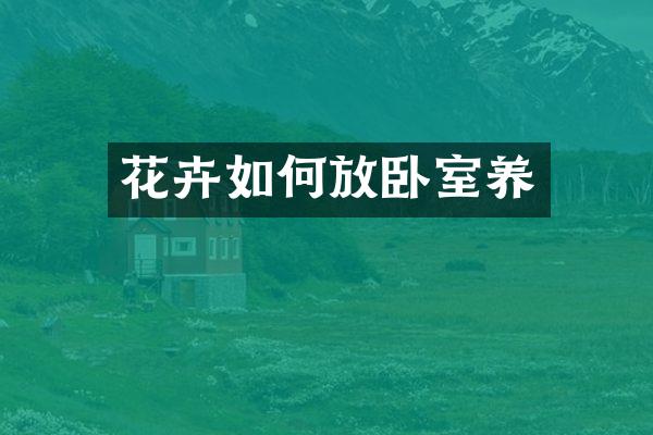 花卉如何放卧室养