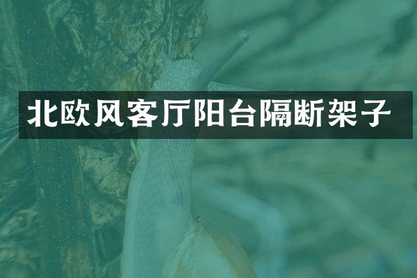 北欧风客厅阳台隔断架子