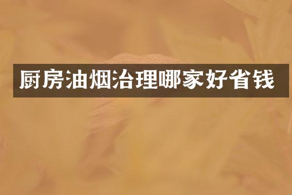 厨房油烟治理哪家好省钱