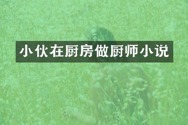 小伙在厨房做厨师小说