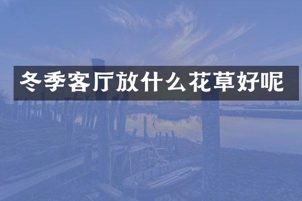 冬季客厅放什么花草好呢