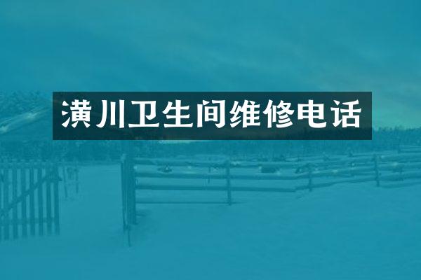 潢川卫生间维修电话
