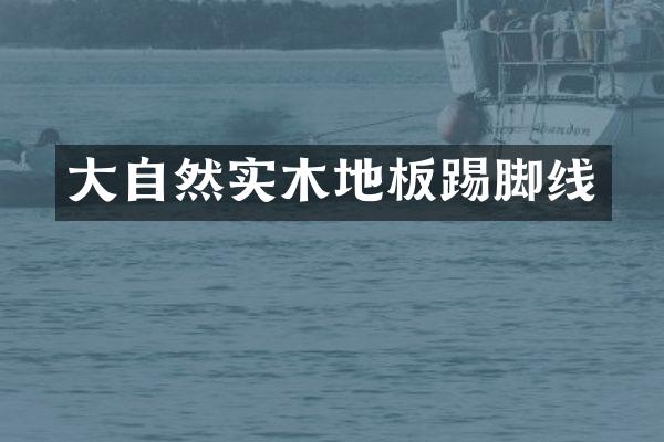 大自然实木地板踢脚线