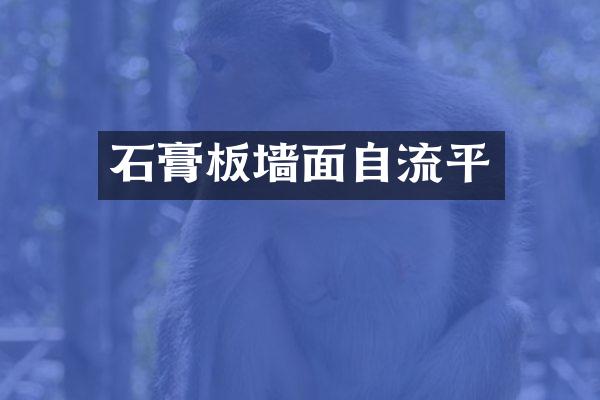 石膏板墙面自流平
